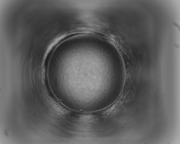 X0000099230342200804241457