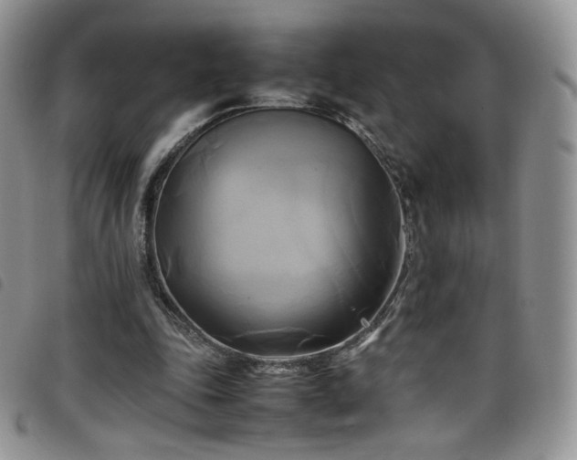 X0000099230343200804241457