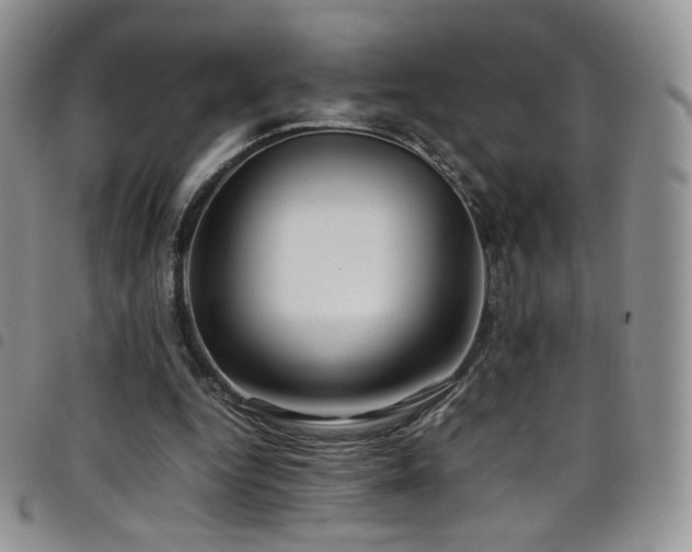 X0000099230344200804241457