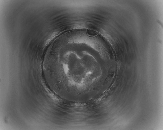 X0000099230345200804241457