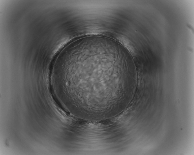 X0000099230346200804241457