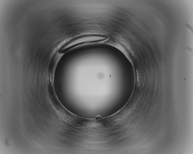 X0000099230348200804241457