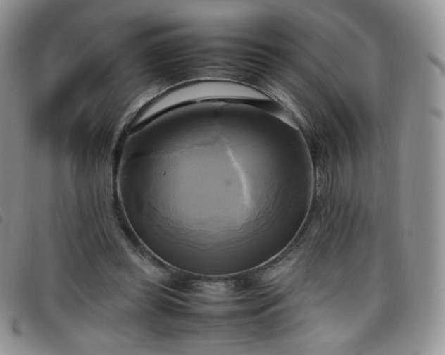 X0000099230349200804241457