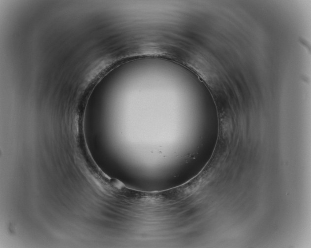 X0000099230350200804241457