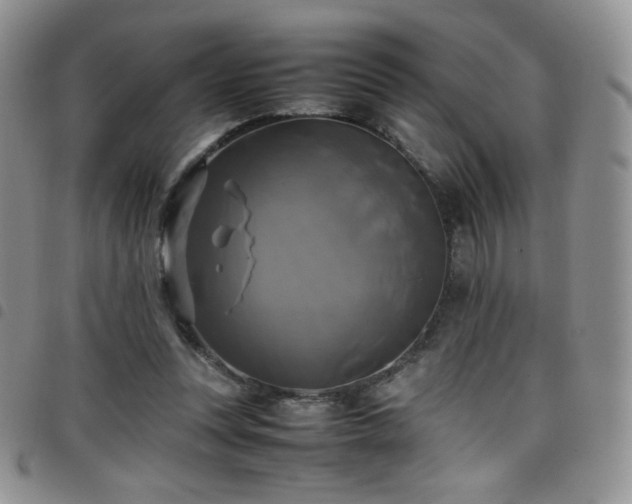 X0000099230351200804241457