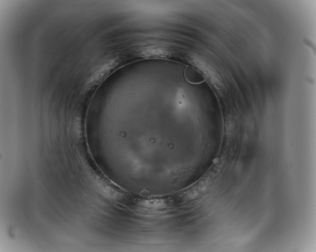 X0000099230353200804241457