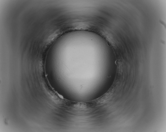 X0000099230354200804241457