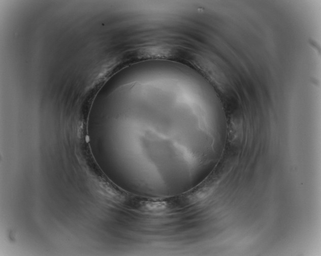 X0000099230355200804241457