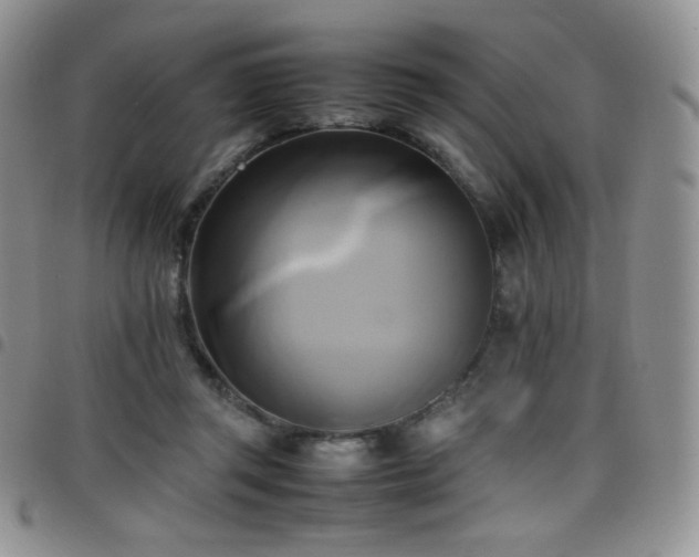 X0000099230357200804241457