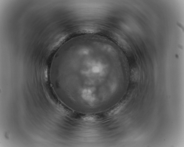 X0000099230358200804241457