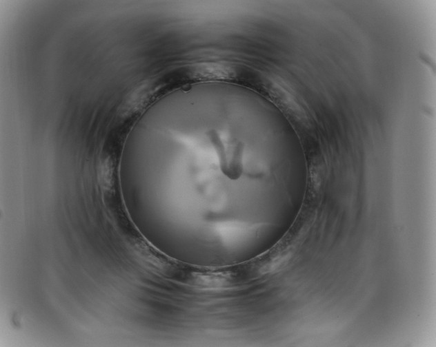 X0000099230359200804241457