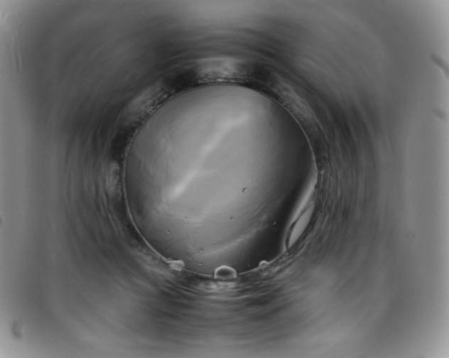 X0000099230361200804241457