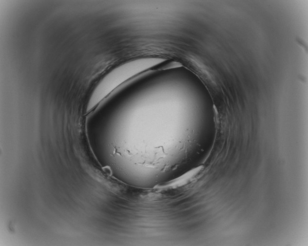 X0000099230362200804241457