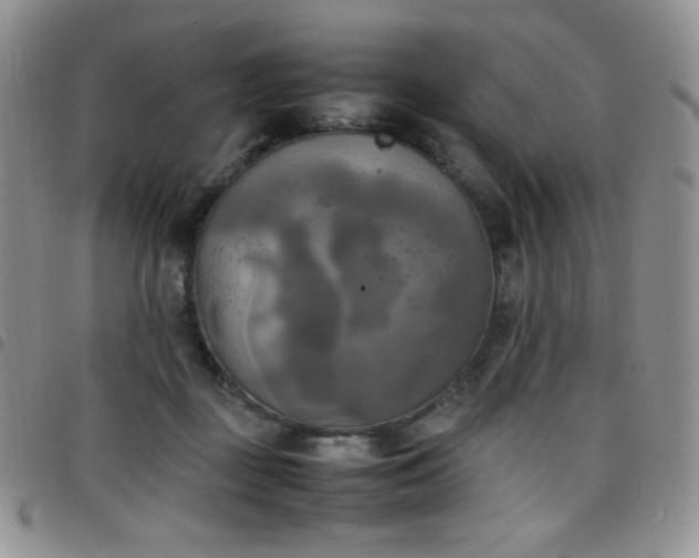 X0000099230363200804241457