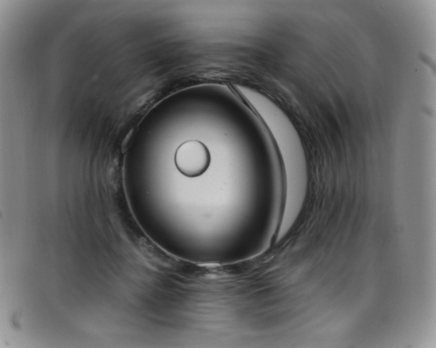 X0000099230364200804241457