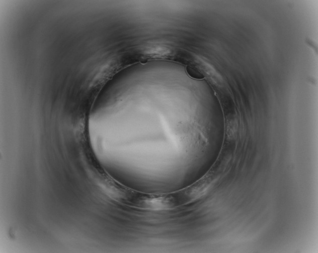 X0000099230365200804241457