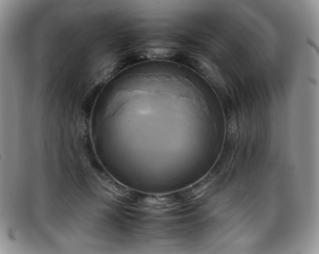 X0000099230367200804241457