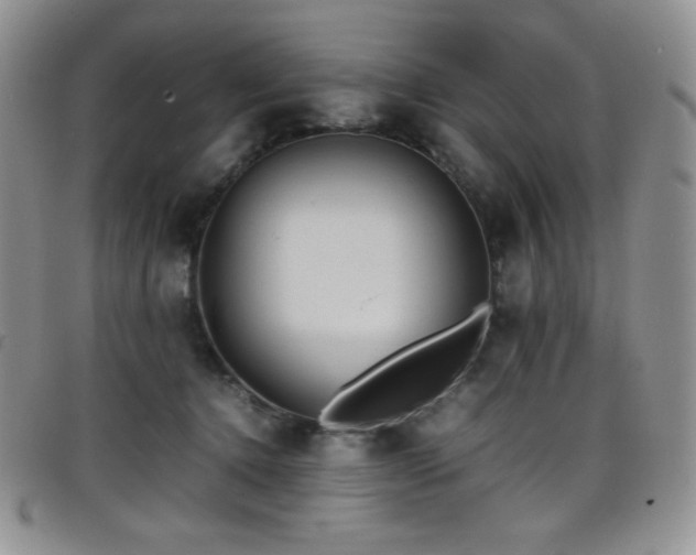 X0000099230368200804241457