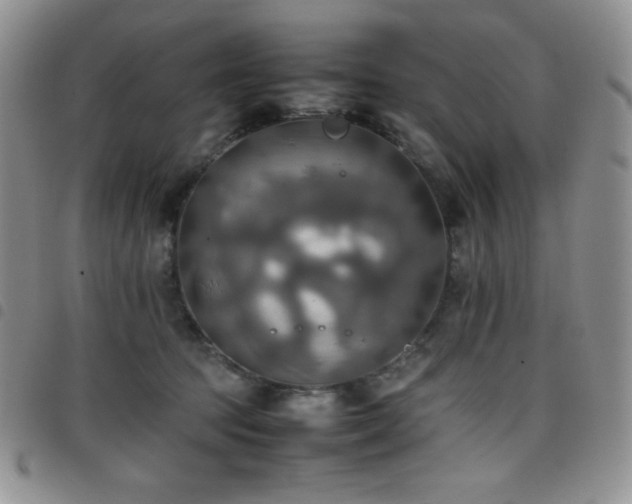 X0000099230369200804241457