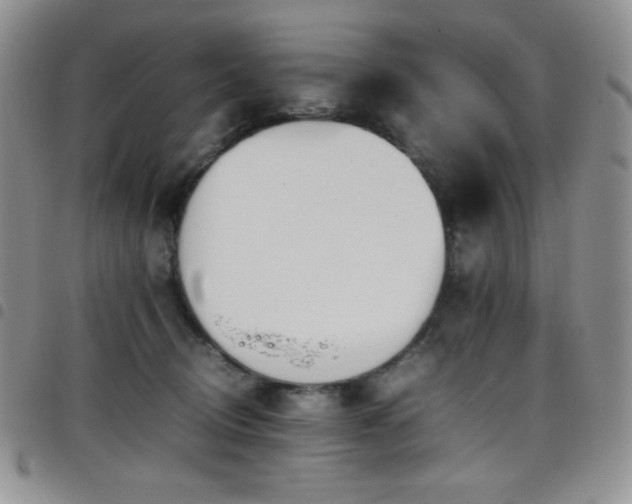 X0000099230370200804241457