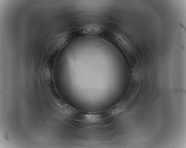 X0000099230371200804241457