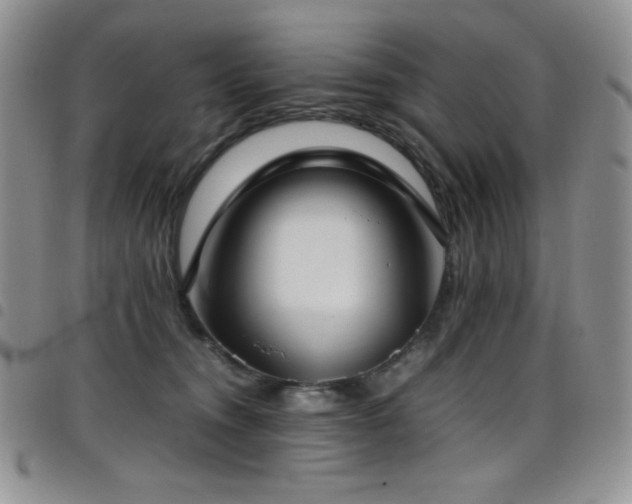 X0000099230372200804241457