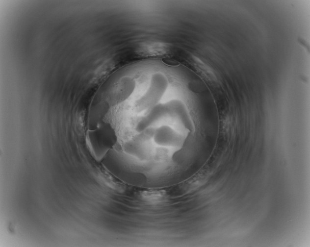 X0000099230373200804241457