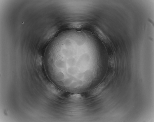 X0000099230374200804241457