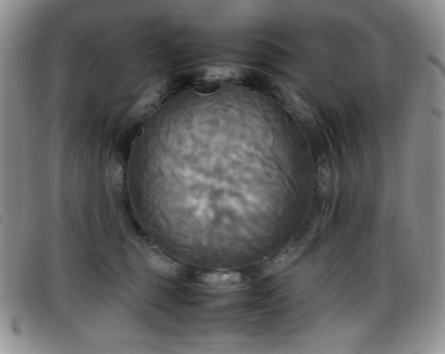 X0000099230375200804241457