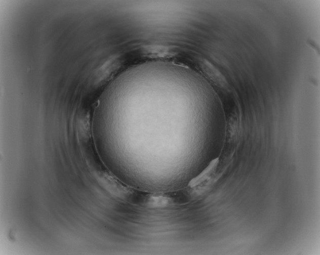 X0000099230376200804241457