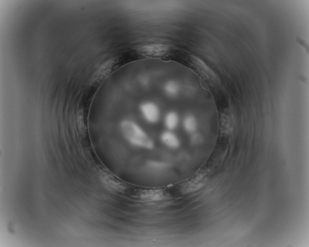 X0000099230377200804241457