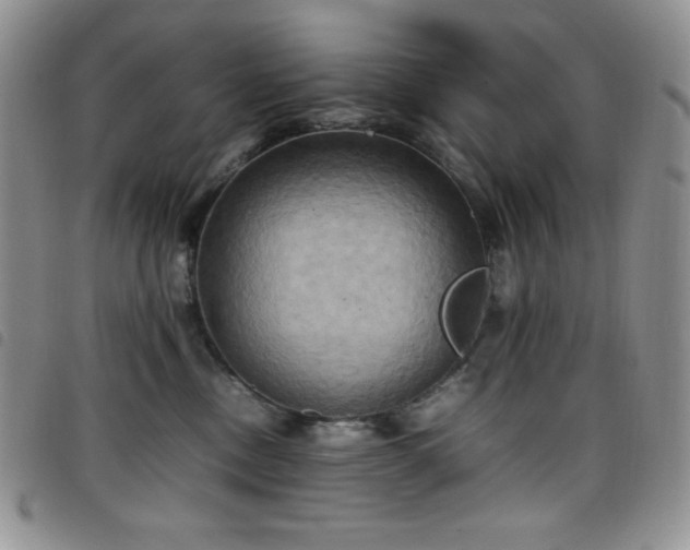 X0000099230378200804241457