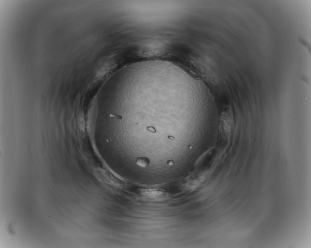 X0000099230380200804241457