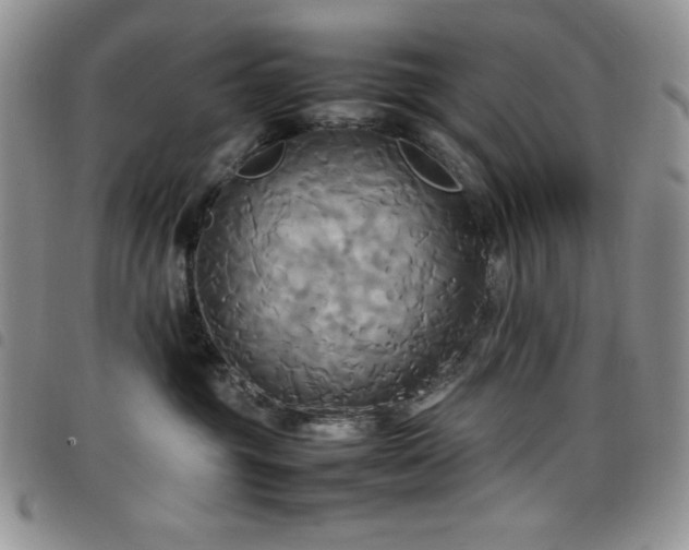 X0000099230381200804241457