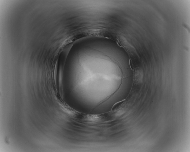 X0000099230383200804241458