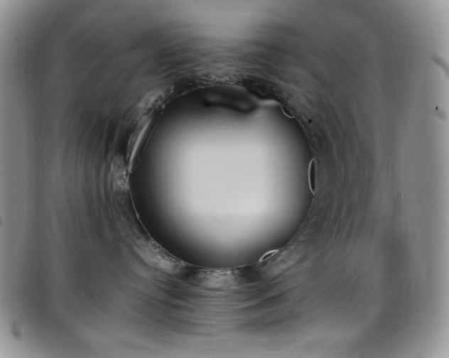 X0000099230384200804241458