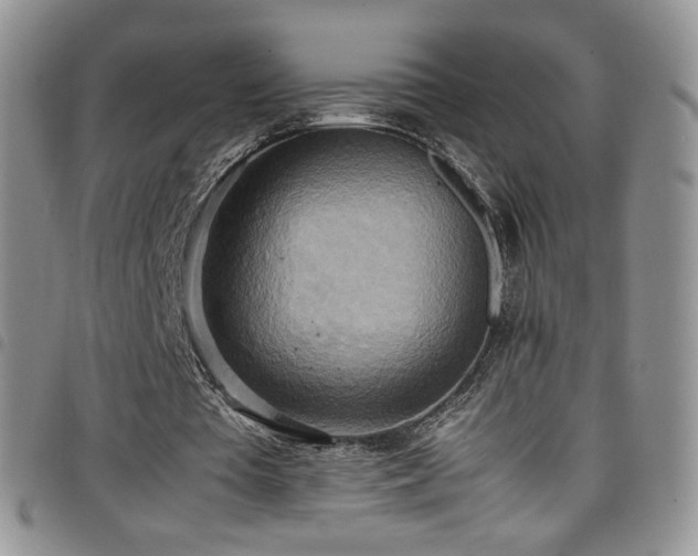 X0000099230385200804241457