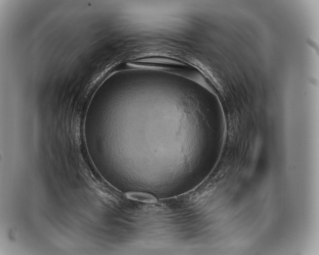 X0000099230386200804241457