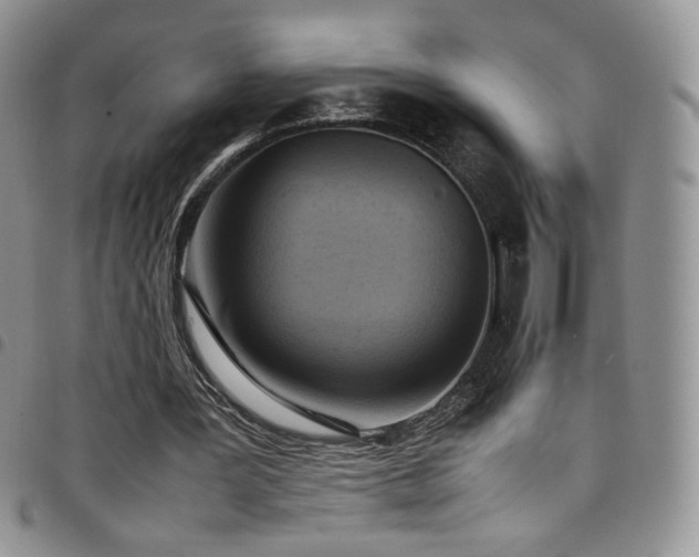 X0000099230387200804241457