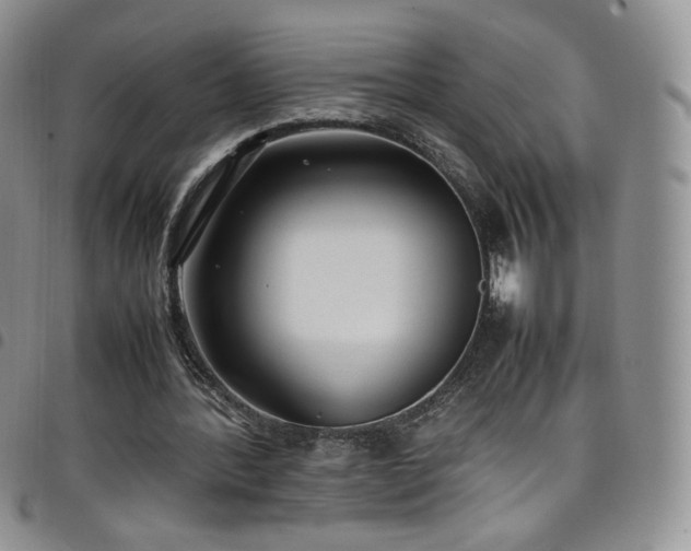 X0000099230388200804241457