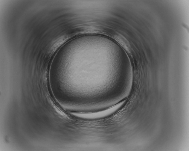 X0000099230389200804241457