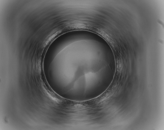 X0000099230390200804241457