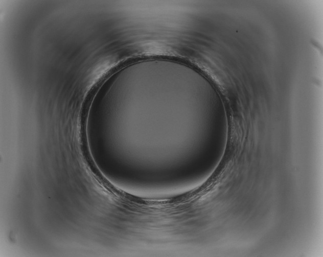 X0000099230391200804241457