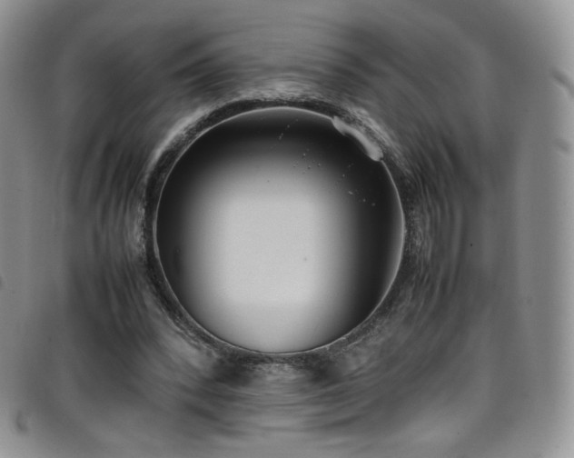 X0000099230392200804241457