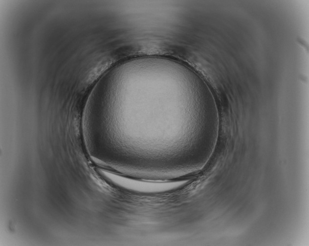 X0000099230393200804241457