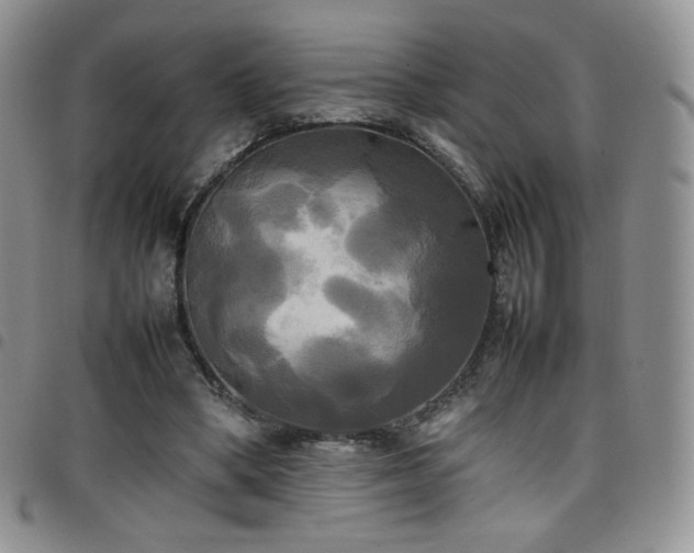 X0000099230394200804241457