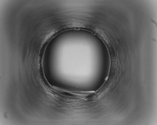 X0000099230395200804241457