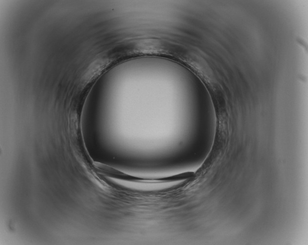 X0000099230397200804241457