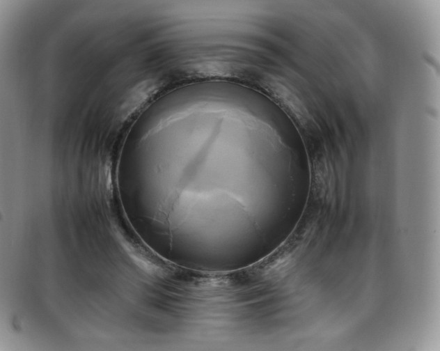 X0000099230398200804241457