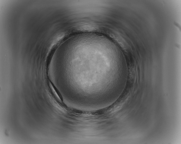 X0000099230399200804241457